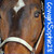 :iconcowgirlsophie28: