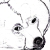 :iconCowlinator: