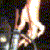 :iconcoycaloy: