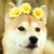 :iconcoyip: