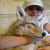 :iconcoyote-queen: