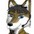 :iconcoyote-squadron: