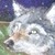 :iconcoyote1012: