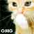 :iconcoyoteblood:
