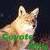 :iconcoyotehills:
