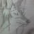 :iconcoyotehungry: