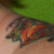 :iconcoyotesirencall: