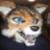 :iconcoyotydave: