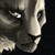 :iconcoyrin: