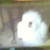 :iconcozmic: