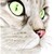 :iconcpainterarts: