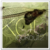 :iconcphunterlook: