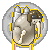 :iconcpt-extremekiwi: