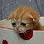 cptflash123 :iconcptflash123: