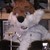 :iconcptn-quint: