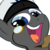 :iconcptshutterfly: