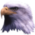 :iconcpudown: