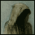:iconCrackCity:
