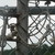 :iconcrackingfoundation: