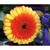 :iconcrafted4u: