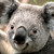 :iconcraftlegend2: