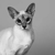 :iconcraftybastetcat: