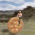 :iconcraftybee: