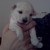 :iconcraftycloud2: