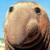 :iconcramfish: