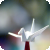 :iconcranes-entries: