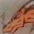 :iconcrash--oops: