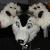 :iconcrash-the-husky: