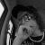 :iconcrashh93: