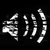 :iconcrashmusic: