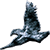 :iconcrashq: