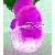 :iconcrashthecar: