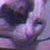 :iconcrassenti: