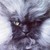:iconcravingdreamer:
