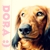:iconcrawlingcutie: