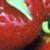 :iconcrazeddragon: