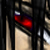 :iconcrazedfox101:
