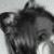 :iconcrazedkitty: