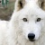:iconcrazen153:
