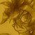 :iconcrazy--chickenhound: