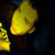 :iconcrazy-artwork: