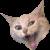 :iconcrazy-bob-saget: