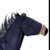 :iconcrazy-keksik: