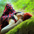 :iconcrazy-mayu: