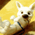 :iconcrazy-muttz: