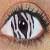 :iconcrazy-zebra: